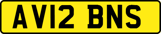 AV12BNS