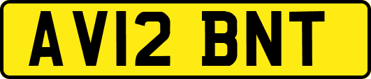 AV12BNT