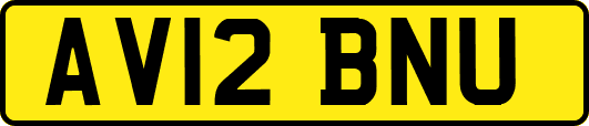 AV12BNU