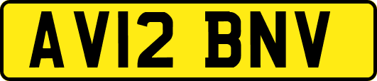AV12BNV