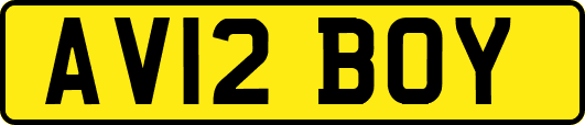 AV12BOY