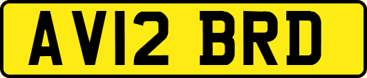 AV12BRD