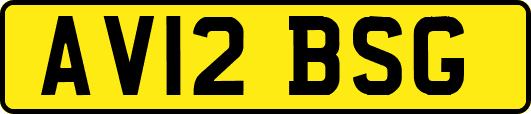 AV12BSG