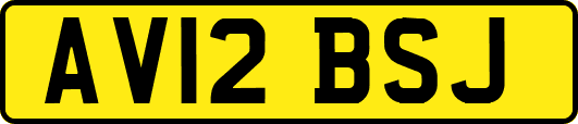 AV12BSJ