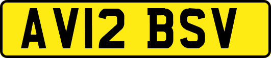 AV12BSV