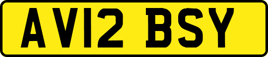 AV12BSY