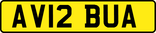 AV12BUA