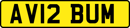 AV12BUM