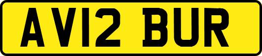 AV12BUR