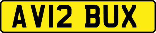 AV12BUX