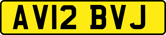 AV12BVJ