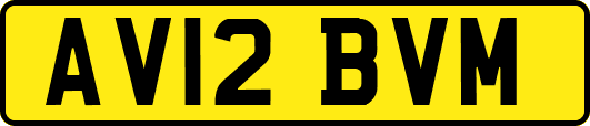 AV12BVM
