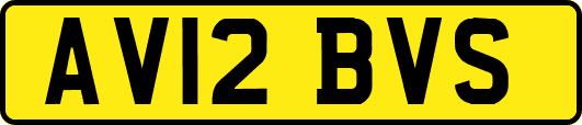AV12BVS