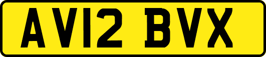 AV12BVX