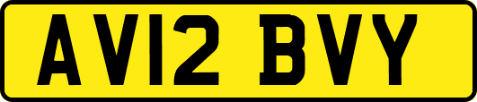 AV12BVY