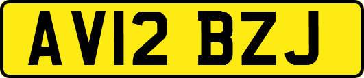 AV12BZJ