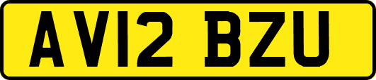 AV12BZU