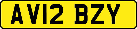 AV12BZY