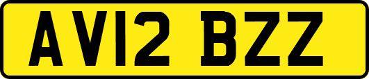 AV12BZZ