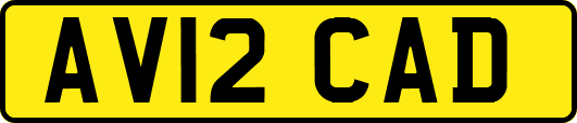 AV12CAD