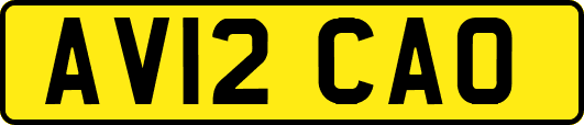 AV12CAO