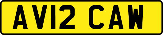 AV12CAW