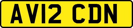 AV12CDN