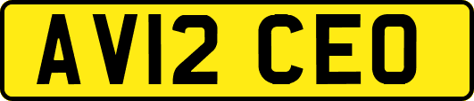 AV12CEO