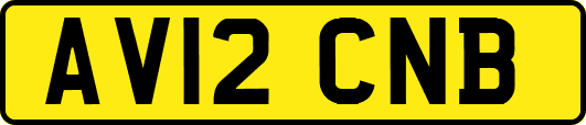 AV12CNB