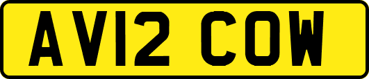 AV12COW