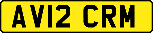 AV12CRM