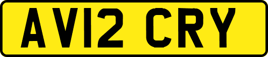 AV12CRY