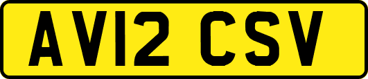 AV12CSV