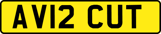 AV12CUT