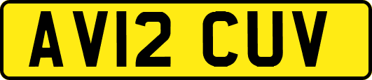 AV12CUV