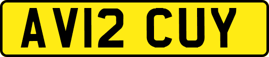AV12CUY