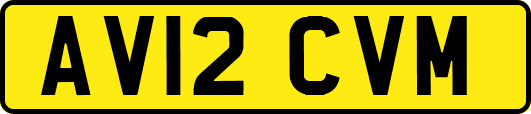 AV12CVM