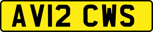 AV12CWS