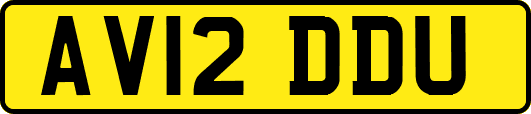 AV12DDU
