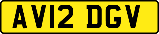 AV12DGV