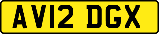 AV12DGX