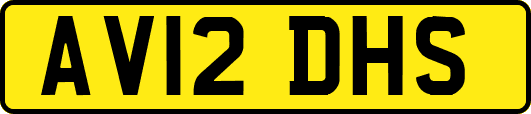 AV12DHS