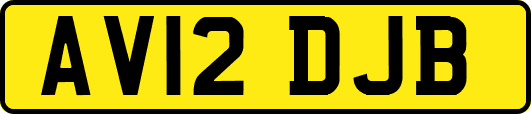 AV12DJB