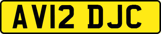 AV12DJC