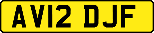 AV12DJF