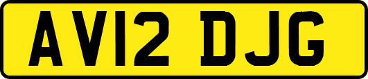 AV12DJG