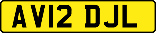 AV12DJL