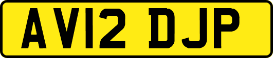 AV12DJP