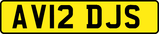 AV12DJS