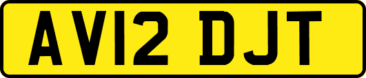AV12DJT